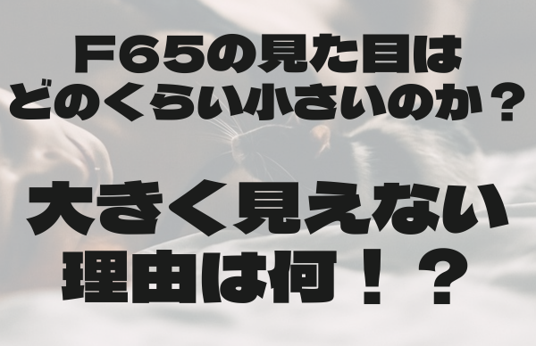 F65見た目どのくらい画像